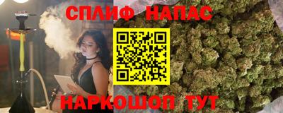 PSILOCYBIN Бийск