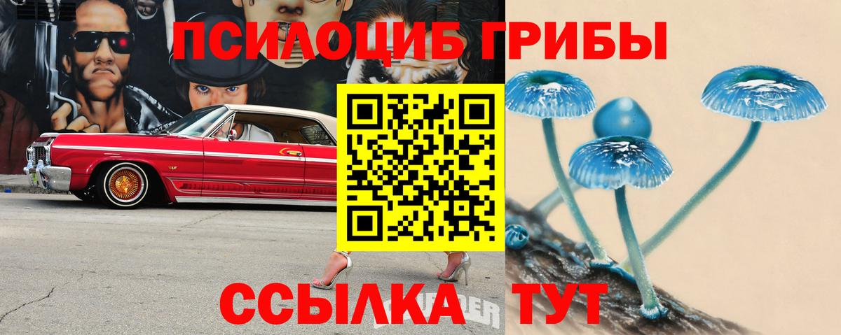 купить наркотик  Вход с VPN  Кольчугино  Галлюциногенные грибы мухоморы 