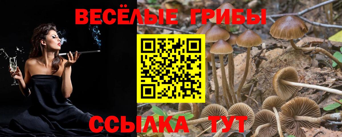 Галлюциногенные грибы мицелий Кольчугино