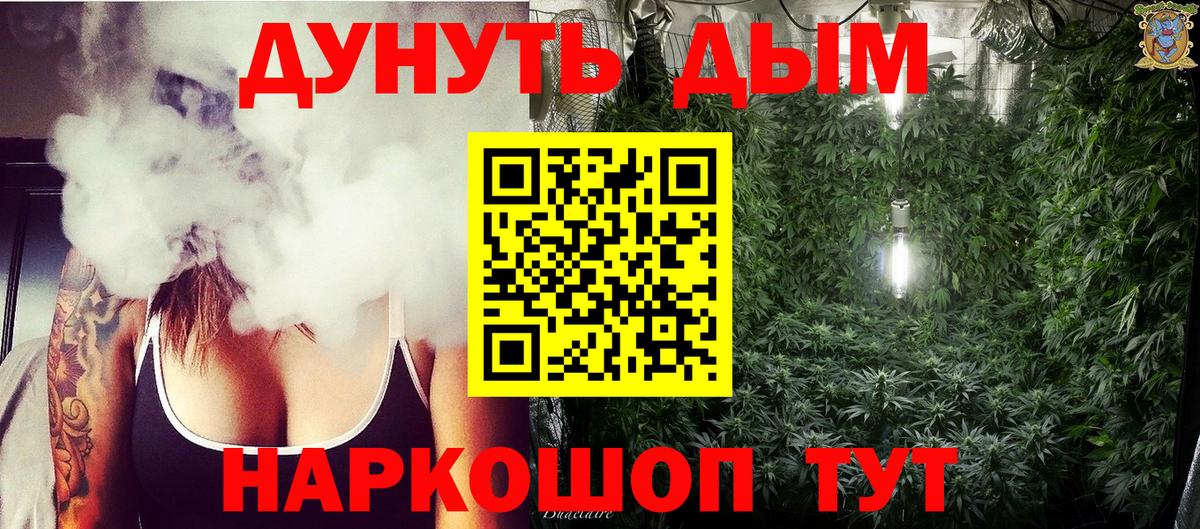 Конопля сатива Кольчугино